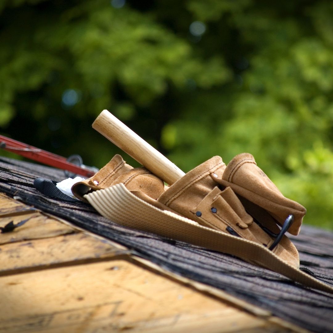 From Mold to Leaks – We Restore Roofs of All Conditions